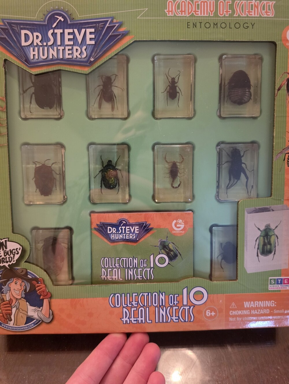 Bug World Collection - Picture 2 of 3